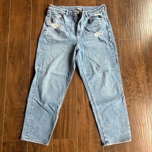 American eagle distressed mom jeans